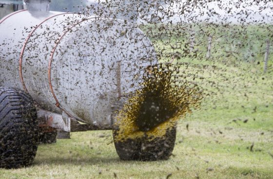 008_boerderij-image-1569275.jpeg