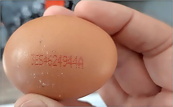 Eieren uit Spanje met eicode 3ES4624944A zijn met Salmonella besmet, zo heeft de NVWA vastgesteld. - Foto: NVWA