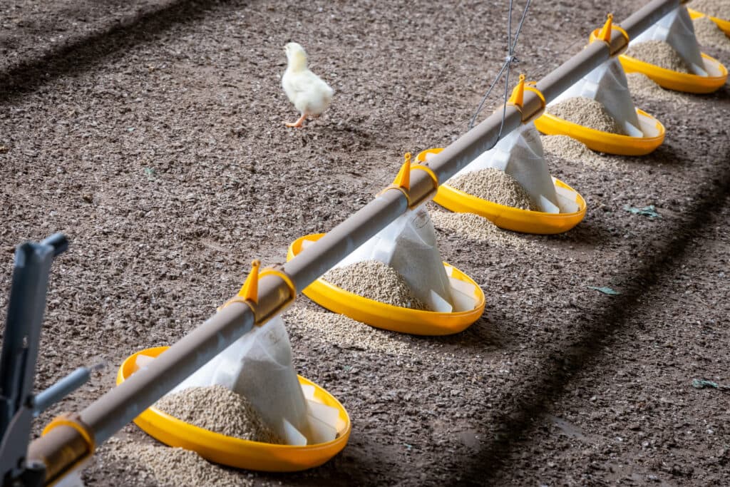 Foto: Koos Groenewold