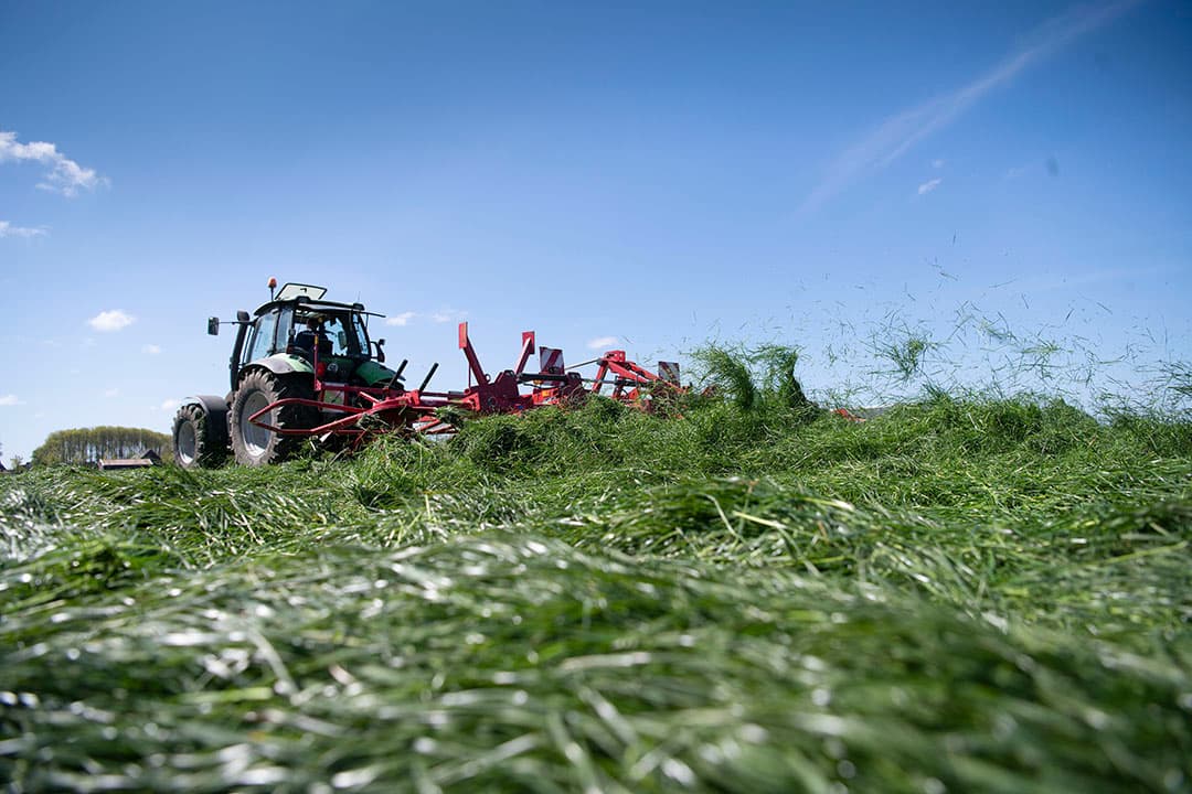 Onder andere het gewenste drogestofgehalte van het gras bepaalt de intensiteit van schudden. Gemiddeld is één keer voldoende of kan al teveel zijn, met name bij het gebruik van een kneuzer en hakselaar. - Foto's: Mark Pasveer
