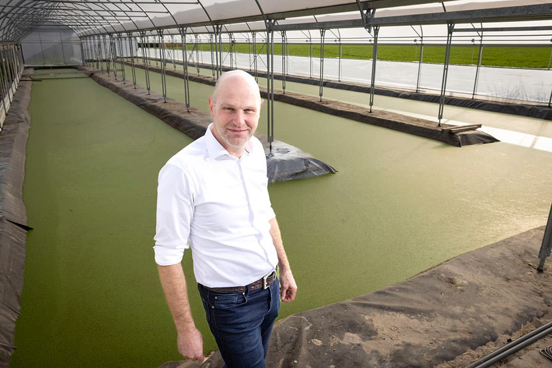Erik Back bij de eendenkroosvijver, een van de innovatieprojecten van Future Farm waarbij hij betrokken is als veehouder. - Foto's: Koos Groenewold