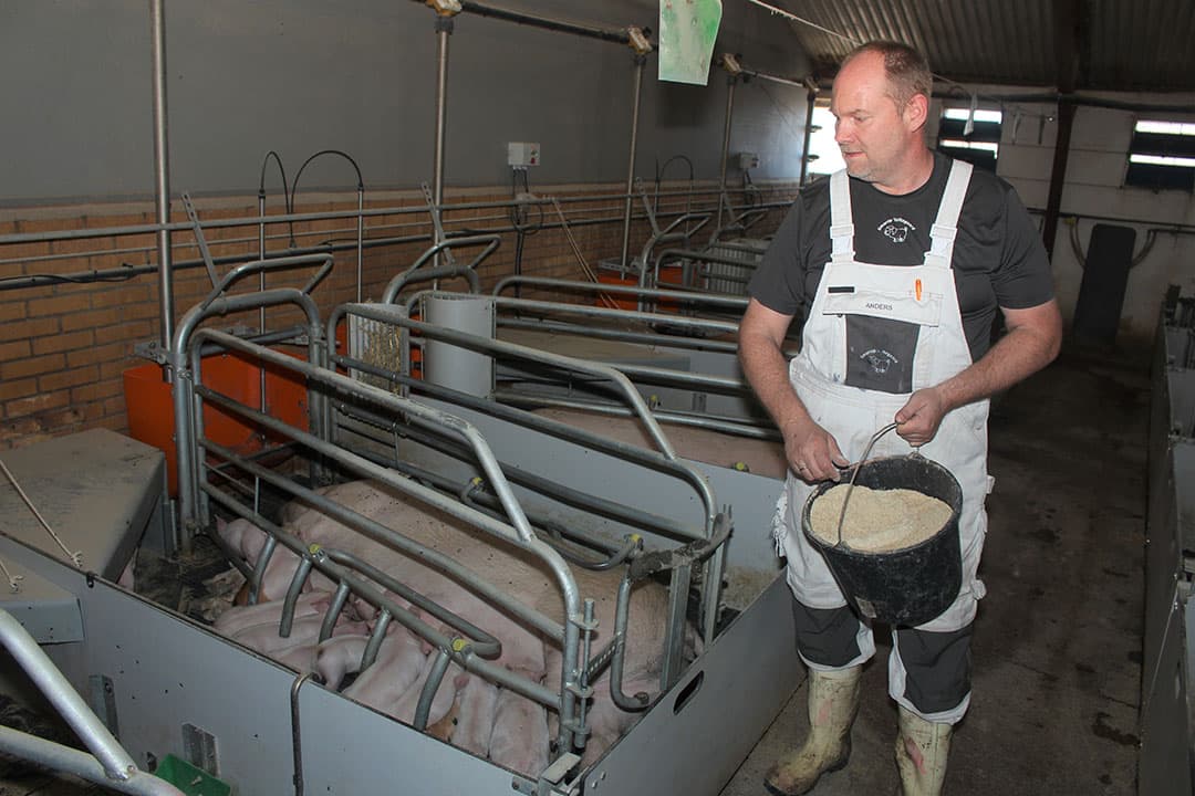 Als onafhankelijke specialist helpt TFH Holland particuliere beleggers met investeren in stabiele winstgevende mkb-ondernemingen. - Foto: TFH Holland