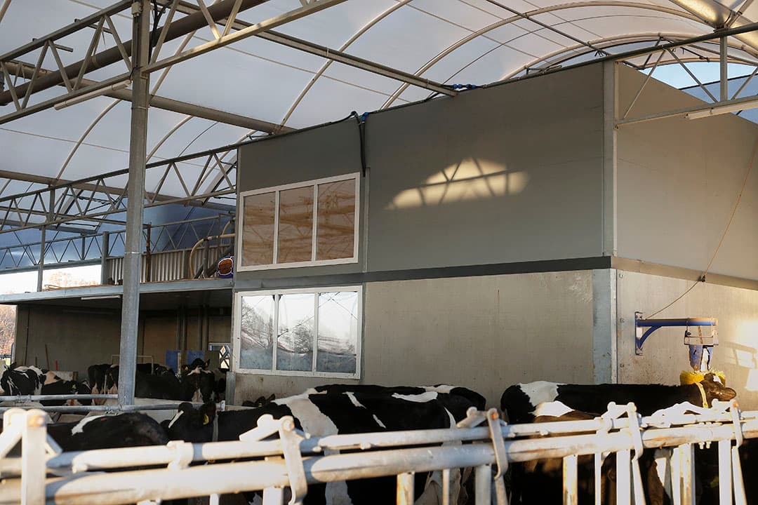 Aan het kantoor (skybox) wordt nog gewerkt. Dit deel van de serrestal wijkt het meest af van het origineel. Er zijn geen melkrobots, het tanklokaal is kleiner en het kantoor bevindt zich een verdieping hoger.