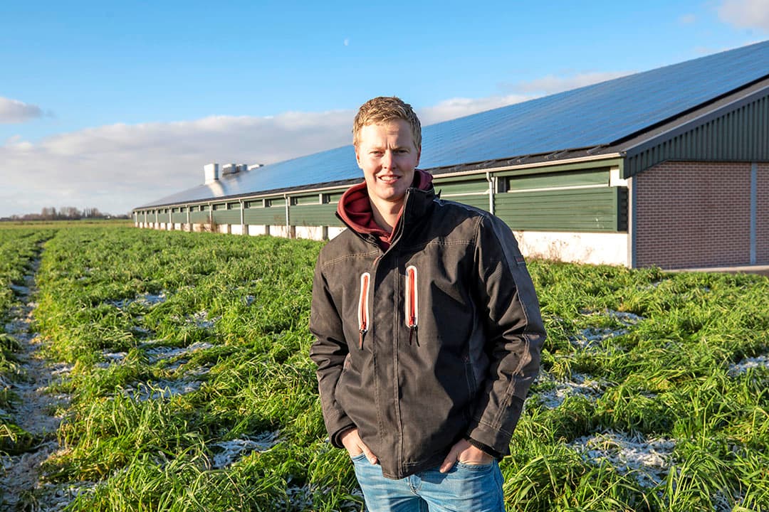 Roel Pieter de Jong is na de eerste zes weken tevreden over de voortgang van zijn Beter Leven-kuikens. “De kuikens zijn actief en groeien goed. Ze hebben veel meer ruimte”- Foto: Anne van der Woude