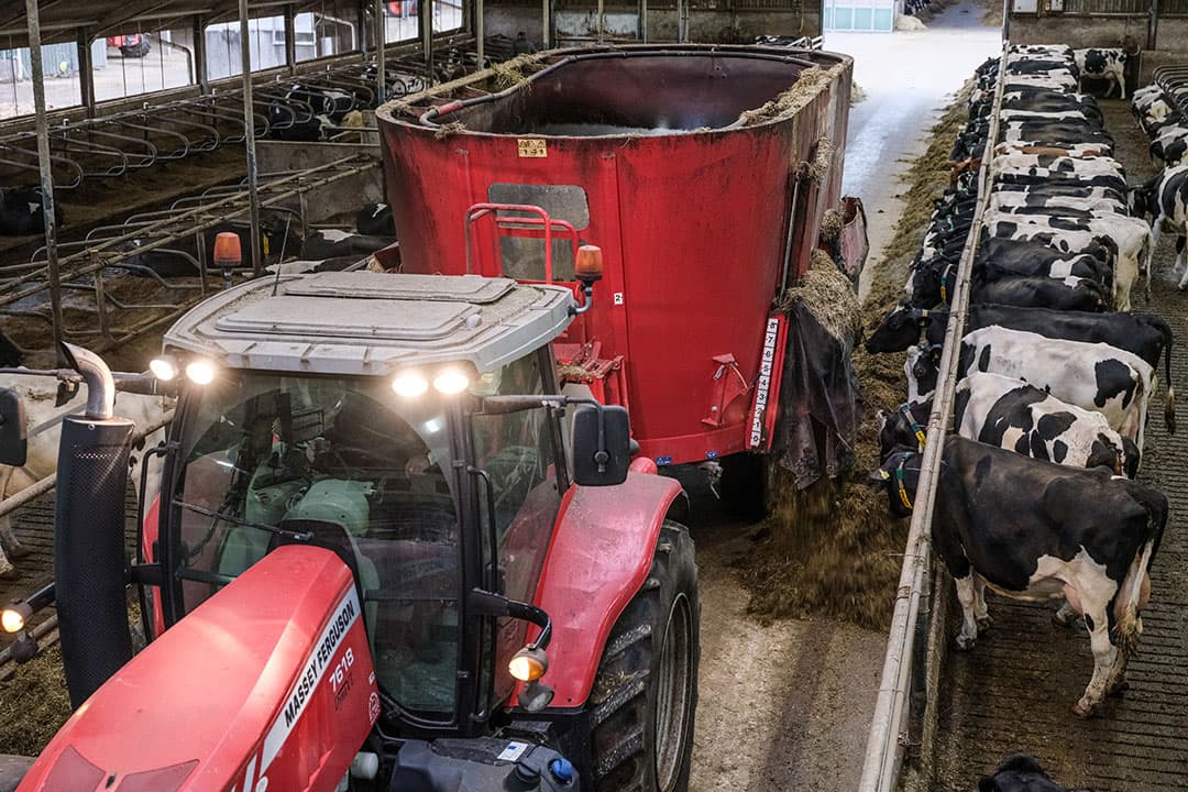 Het grasrantsoen wordt aangevuld met mais, raapschroot, aardappelpersvezels en tarwegistconcentraat. Eenmaal goed gemengd, gaat het voor de koeien. - Foto's: Jan Willem van Vliet