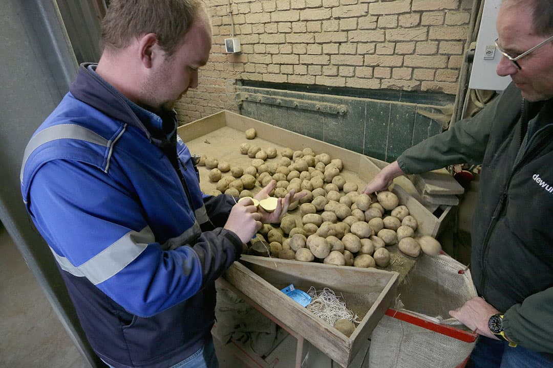 De NAK-keurmeester komt bijna dagelijks op het erf om de aardappelkwaliteit te volgen en bij afleveren een eindcontrole te doen.