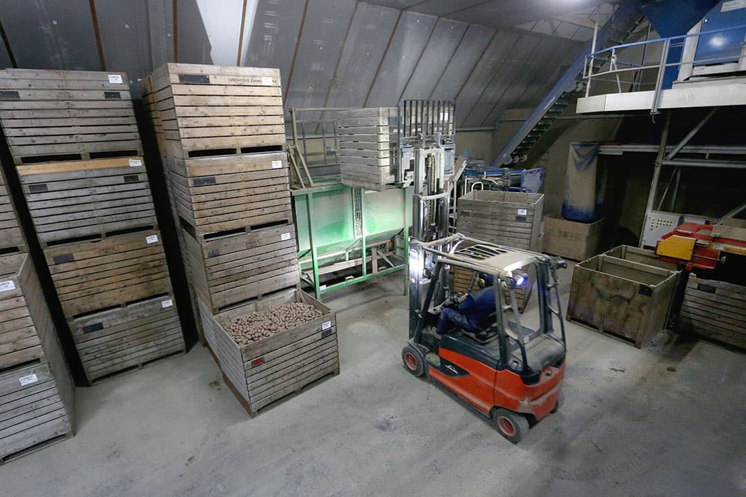 Vullen van de sorteermachine met een kist veldgewas. Na het maatsorteren en automatisch uitlezen gaan de aardappelen weer terug in kisten.