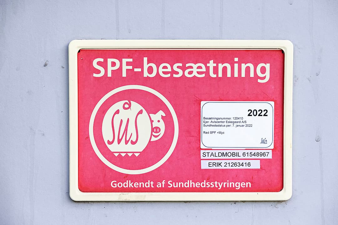 Het bedrijf neemt deel aan Deense SPF-systeem. De varkens zijn vrij van diverse pathogenen, behalve mycoplasma, geeft het bord aan.