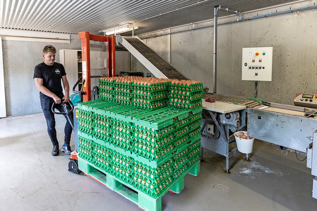 Visscher aan het werk in één van de eierlokalen. Er is er één voor de scharrel- en één voor de biologische eieren.