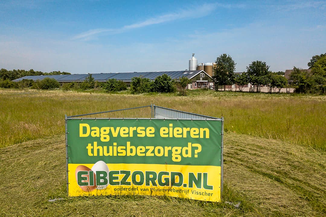 Een groot bord in de wei wijst passanten op de eierwebshop. Eibezorgd.nl wordt ook gepromoot via Facebook en Instagram. De webshop is volgens Alrik Visscher weinig werk. “Pakbon en label afdrukken en dan versturen.” - Foto's: Koos Groenewold