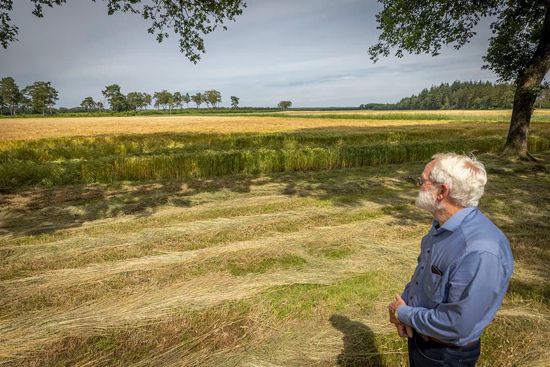 Vanuit zijn tuin kijkt Henny Roelofsen uit over zijn gerstperceel. Hier is de nieuwe kazerne gepland.