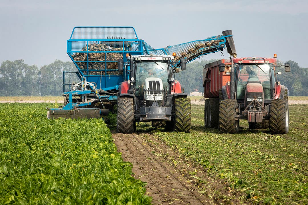 Sturm rooit en levert alle suikerbieten in de eerste week van de bietencampagne. Dat past goed in hun arbeidsfilm en de kans op slechte rooiomstandigheden is dan niet zo groot. - Foto's: Koos Groenewold