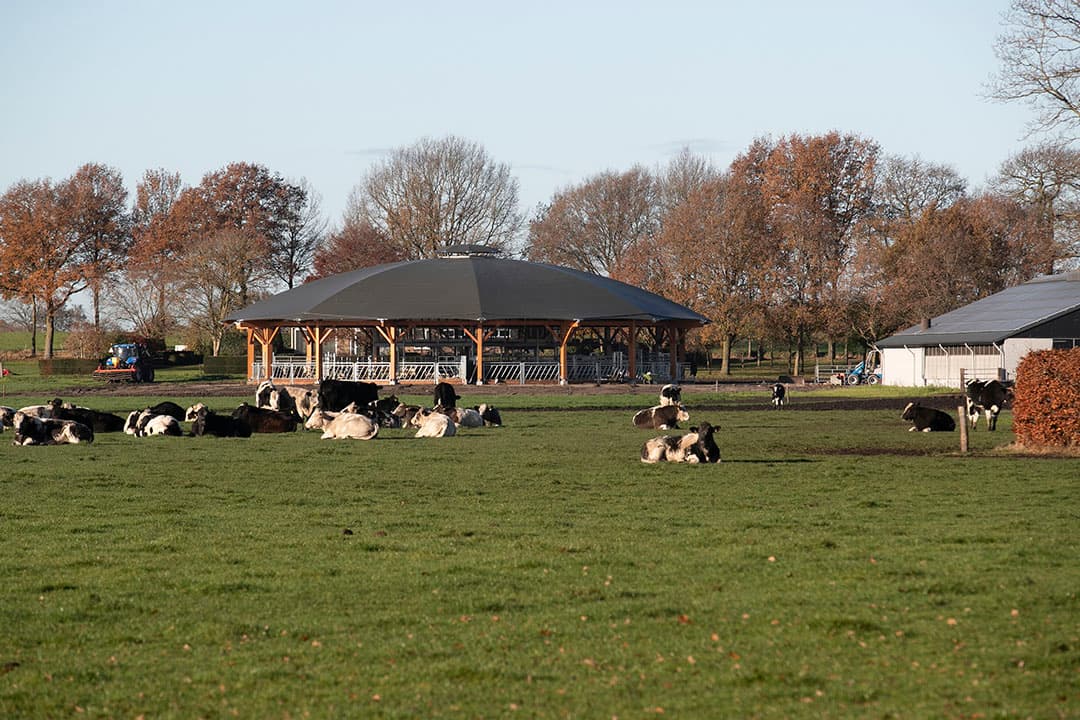 Een overzicht van het bedrijf. Met van links naar rechts de roundhouse, de ligboxenstal met zonnepanelen en de monovergister.
