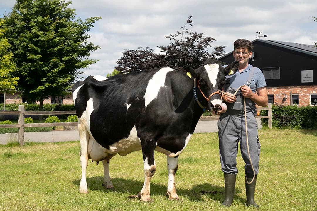 Peter Hampsink met zijn derde topkoe die meer dan 10.000 kilo vet en eiwit heeft geproduceerd en tien kalveren. - Foto's: Hans Banus