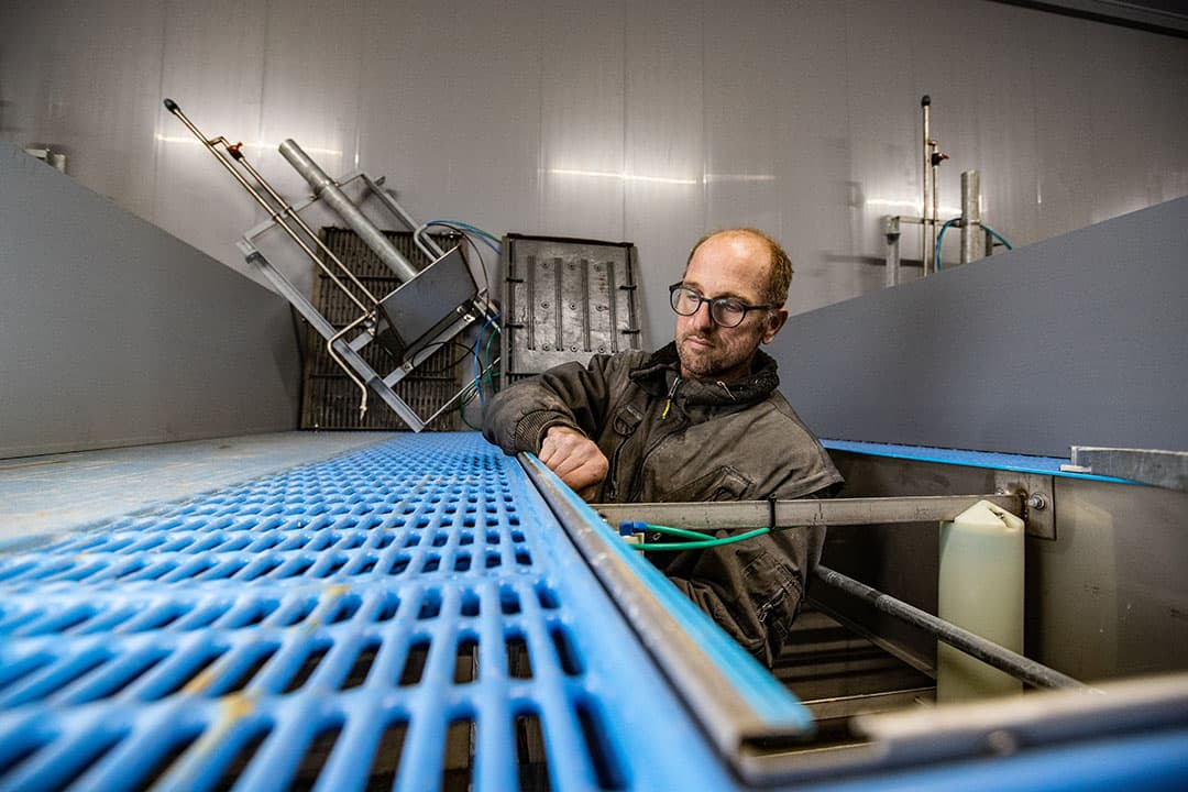 Installatie van de beweegbare vloer in de kraamstal. Van der Vinne heeft de stal gebouwd met inzet van familie en veel eigen arbeid.