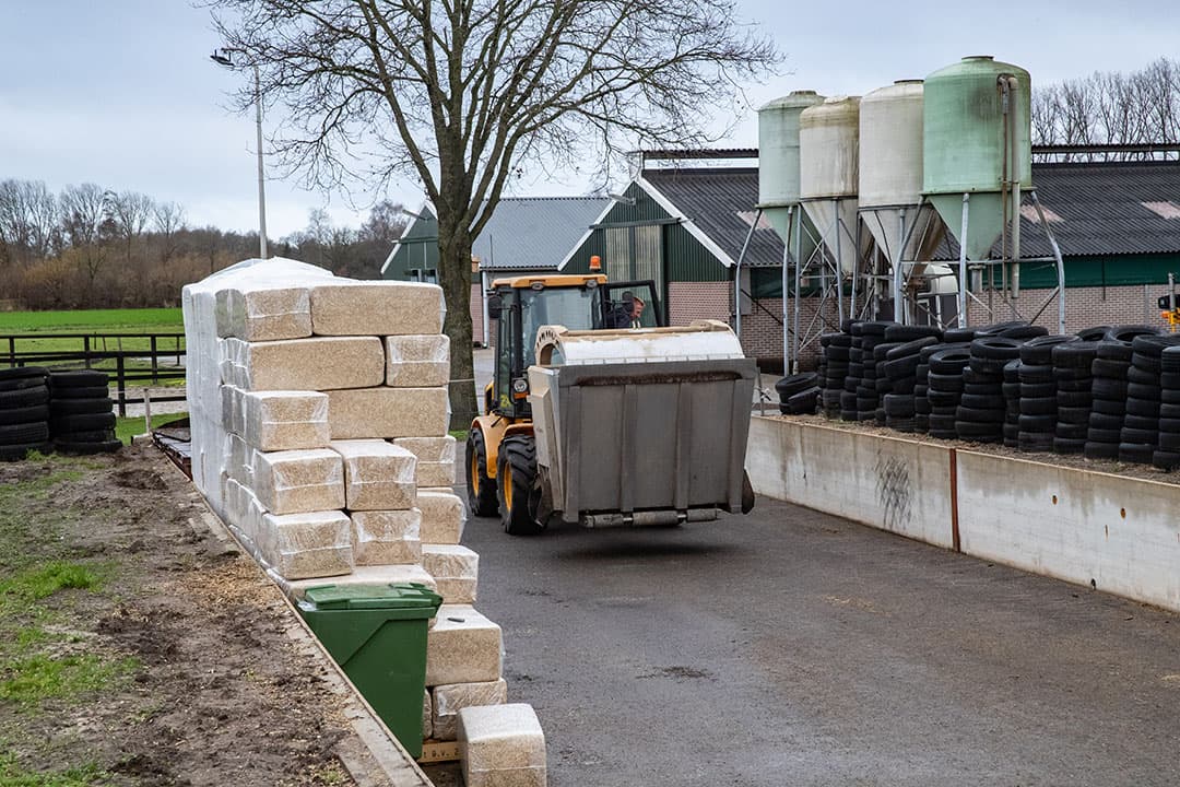 De Drentse kalverhouder Meine Jongschaap is erg tevreden over het Pioneer-maisras PR39F58. “Het blijft een heel stabiel ras dat het bij droogte ook goed doet”, zegt Jongschaap. - Foto's: Ronald Hissink