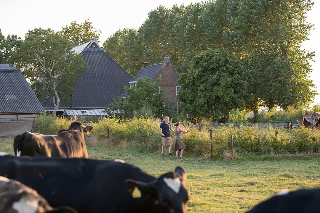 Rondom het erf en de stallen staan veel bomen, er is ook een voederhaag en op de voorgrond staat de vee-kerende haag. - Foto's: Mark Pasveer