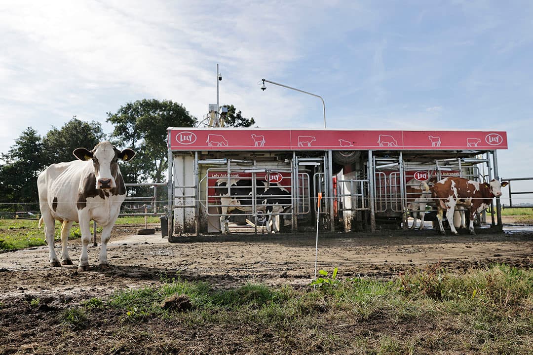 Het mobiele melksysteem, met twee Lely-melkrobots, draait nu voor het tweede seizoen bij Joost en Simon Samsom. - Foto's: Ton Kastermans