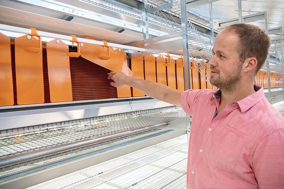 De volièrestal heeft vier rijen STET 24-21 volièresysteem van Big Dutchman. Iedere volièrerij heeft een eigen ingebouwde strooiselschuif, zodat er geen aandrijvingen in de gangpaden lopen en struikelen wordt voorkomen. - Foto's: Michel Velderman