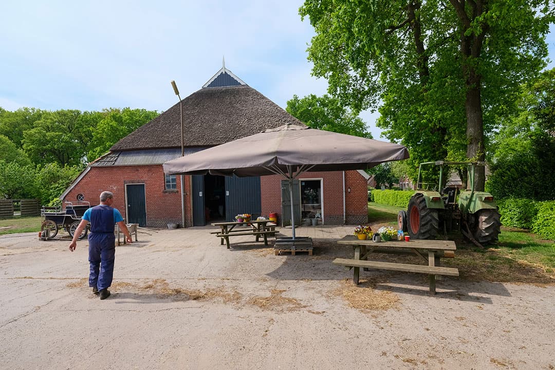 Tessa en Wim willen een mooi terras inrichten, zodat gasten kunnen genieten van een hapje en een drankje. Op termijn is uitbreiding met trekkershutten ook een optie.