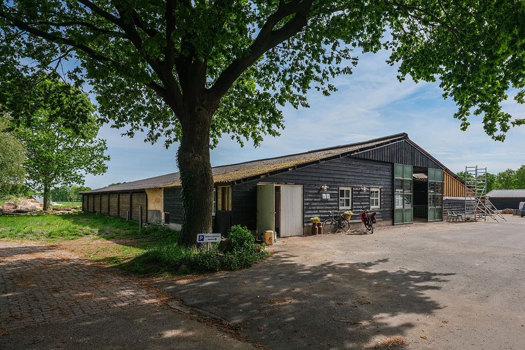 De vennoten houden vee van de zeldzame rassen Lakenvelder en Groninger Blaarkop. Er zijn 30 melkkoeien, 30 ossen en 30 stuks jongvee op 90 hectare grond in gebruik.