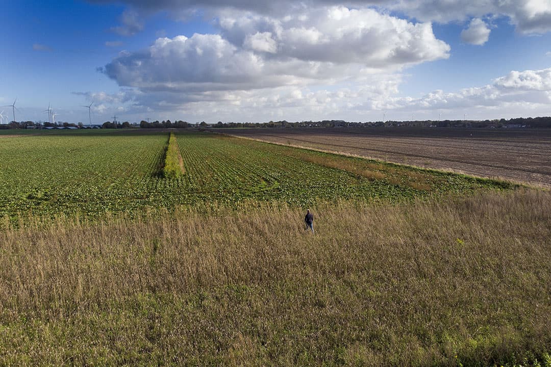 Overzicht van een natuurinclusief ingericht perceel, met bloemenstrook in het perceel, en voedselstrook en struweel aan de randen. - Foto: Mark Pasveer
