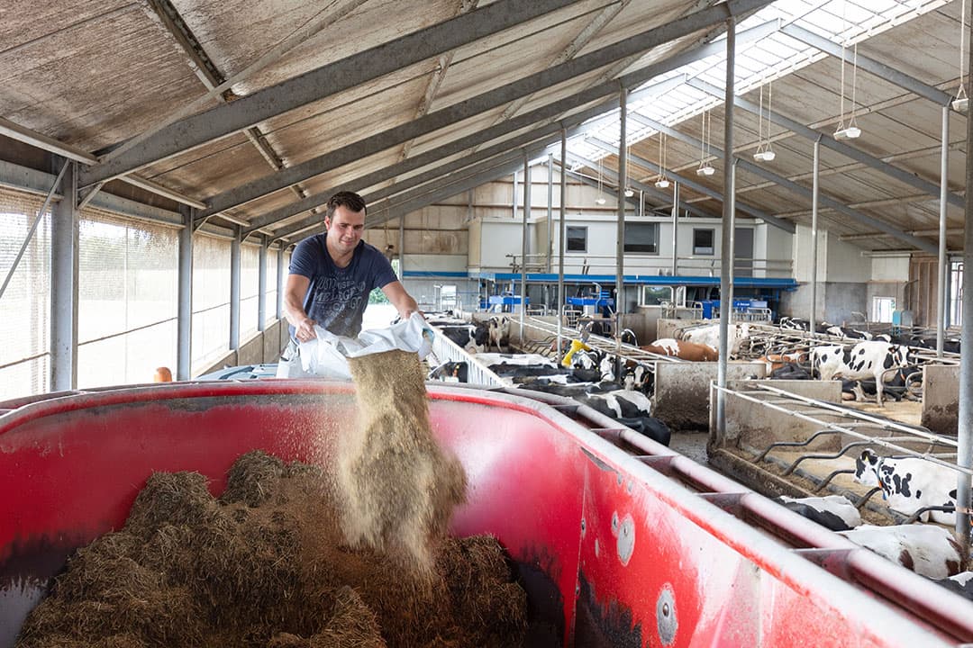 Alles wordt kort en agressief door elkaar gemengd. Dat kan goed met de korte deeltjeslengte van de kuil.