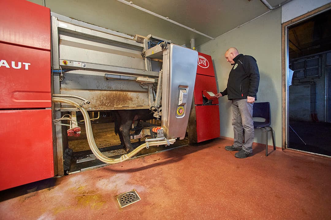 De buffels waren snel gewend aan de melkrobots. De productie blijft met 2.400 kg per koe nog achter bij het uiteindelijke doel van 3.000 kg.
