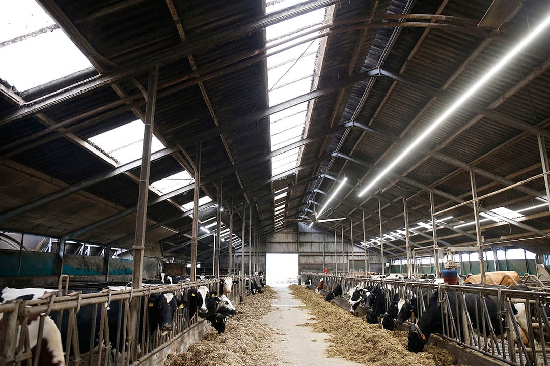 duurzame melkveehouderij