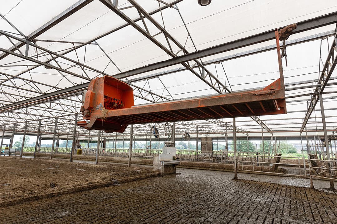 Omdat de mestafzet vanwege de zanderige mest niet altijd makkelijk was, koos De Vries er tijdens de tweede winter voor om met dit systeem deels terug te grijpen op stro. De vrijloop bleef voor de ene helft zand, de andere helft werd weer stro. De Vries kon dat ook doen omdat hij zijn stroverdeler nooit heeft weggedaan. Tot 2021 – toen De Vries begon met het VrijLeven-concept en de BeddingCleaner – was dit een vrijloop met stro.
