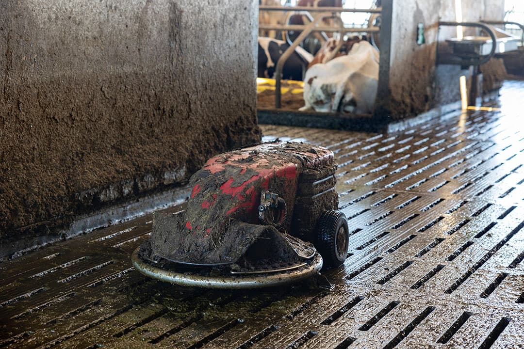 De mestrobot wordt eveneens met groene stroom aangedreven en kan daar met behulp van de accu-opslag ook ‘s nachts gratis mee door.