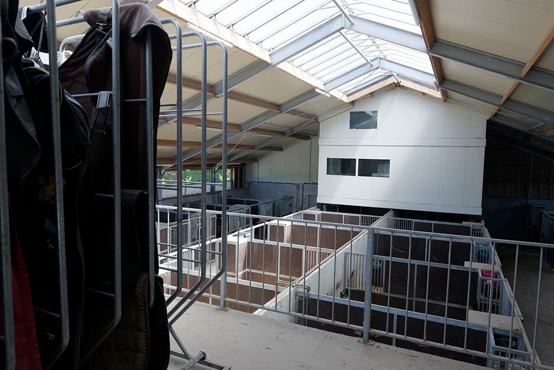 Een bijzondere plek voor een bed & breakfast, boven in de paardenstal. Gasten zitten overal dichtbij. Het treinstation is 800 meter verderop en Amsterdam is dan slechts 20 minuten reizen. De zee ligt hemelsbreed amper 5 kilometer van het bedrijf af.