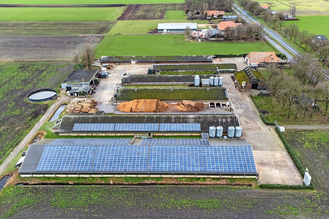 Salomons zet in op de productie van groene stroom. Hij heeft plannen om het dak van stal 1 – de bovenste stal op de foto – te vervangen en vol te leggen met zonnepanelen. Op dit moment heeft hij al 1.740 zonnepanelen in gebruik. - Foto's: Ronald Hissink