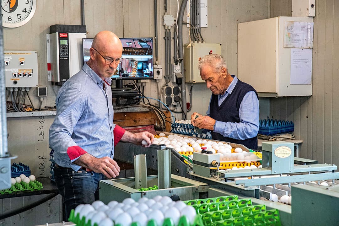 biologisch pluimveebedrijf
