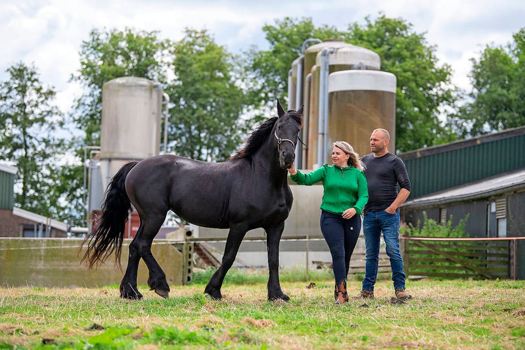 Jan-Wietse de Boer en Emma van der Woude houden 7.000 biologische vleeskuikens. Ze houden daarnaast 450 blankvleeskalveren en hebben twintig Friese paarden (jong en oud). De Boer heeft een fulltimebaan als hoefsmid en runt daarnaast de boerderij. - Foto's: Mark Pasveer
