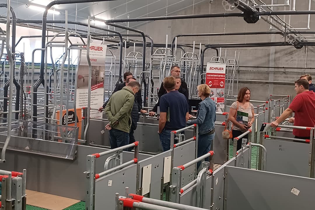De open dag trok circa 250 bezoekers. Dit is een van de vier afdelingen met 32 kraamopfokhokken. Via de luikjes in de achterwand kunnen de zuigende biggen het hok uit. - Foto's: Kees van Dooren