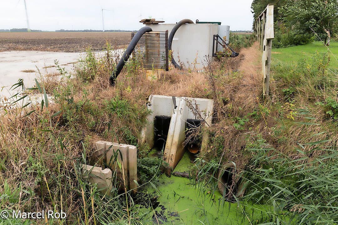 De uitstroompijpen van de hoofddrain. Door deze open te zetten, wordt het regenwater afgevoerd naar de sloot.