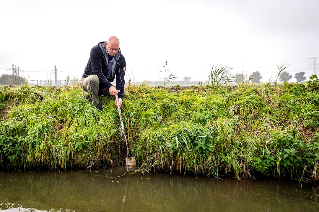 Op dit perceel legde Van Staalduinen drie jaar geleden onderwaterdrainage aan. Ondanks de ijzerhoudende ondergrond blijven de drains zonder reiniging goed doorlopen. - Foto's: Dennis Wisse / DCI Media West