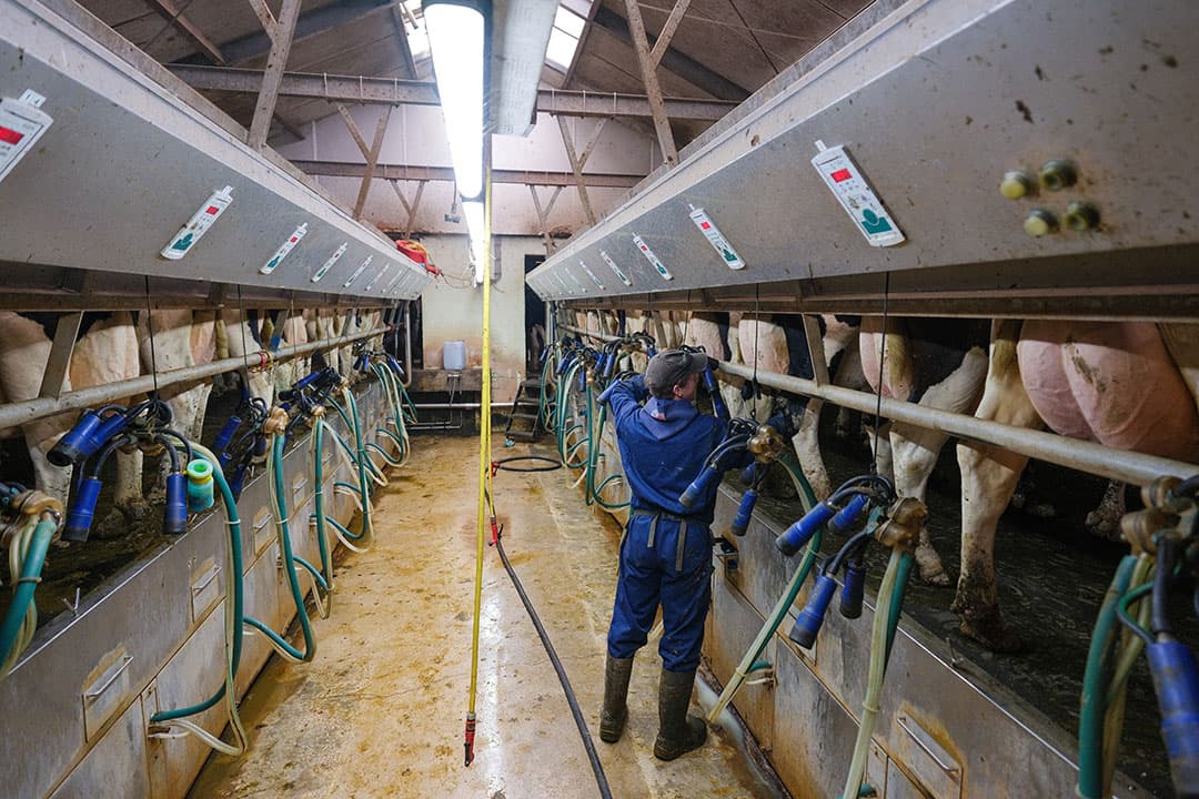 duurzame melkproductie