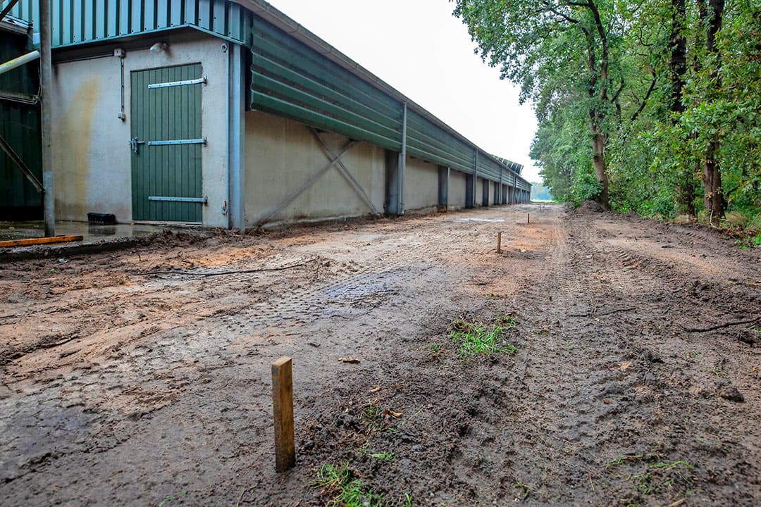 De vleeskuikentak is omgeschakeld naar Beter Leven 1 ster. De bouw van de overdekte uitloopruimtes start in november. Aan deze stal worden aan weerszijden twee scharrelruimtes van 3 meter breed gebouwd. Ook verrijst er tussen de andere twee stallen een grote overdekte uitloopruimte. Die wordt in de lengterichting opgedeeld in twee aparte scharrelruimtes.