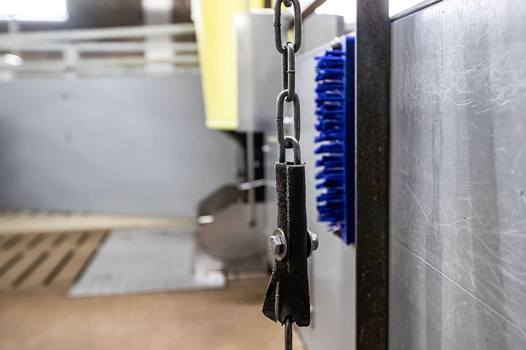 De varkens worden geleverd aan het Beter voor- programma van AH. Hier zijn extra voorwaarden aan verbonden, zoals in elk hok verrijkingsmateriaal en een schuurborstel.