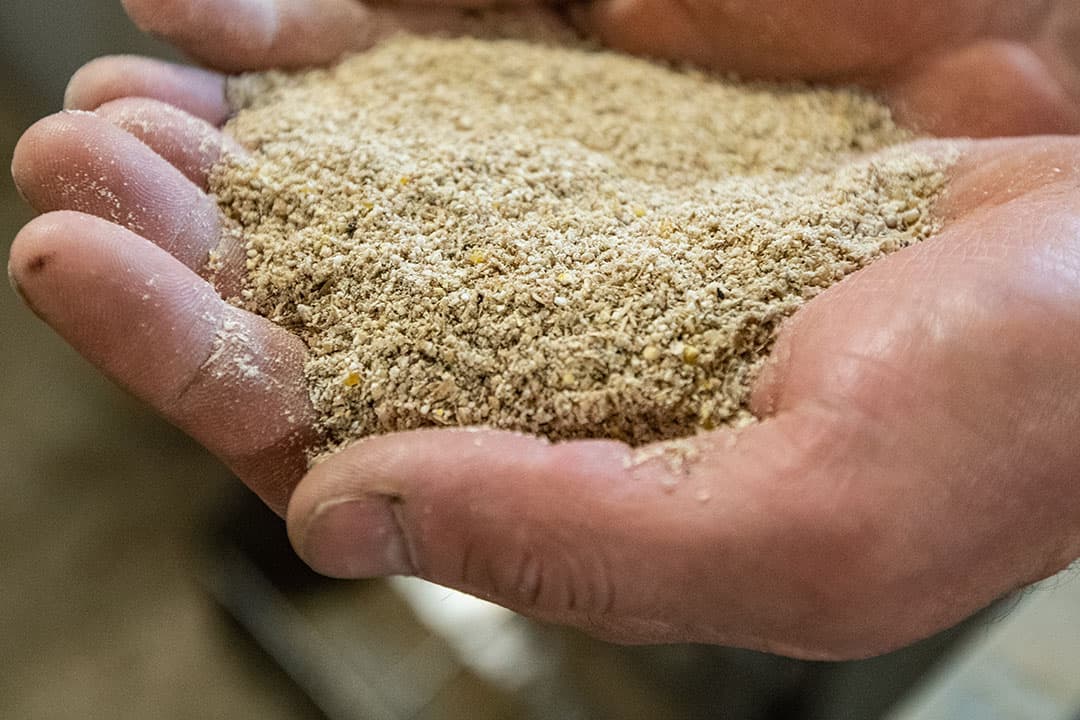 De varkens krijgen allemaal meel verstrekt via een CDI – voersysteem. Het eigen gemalen voer moet net zo goed zijn, of zelfs nog beter dan mengvoer van een voerleverancier stelt Rientjes.