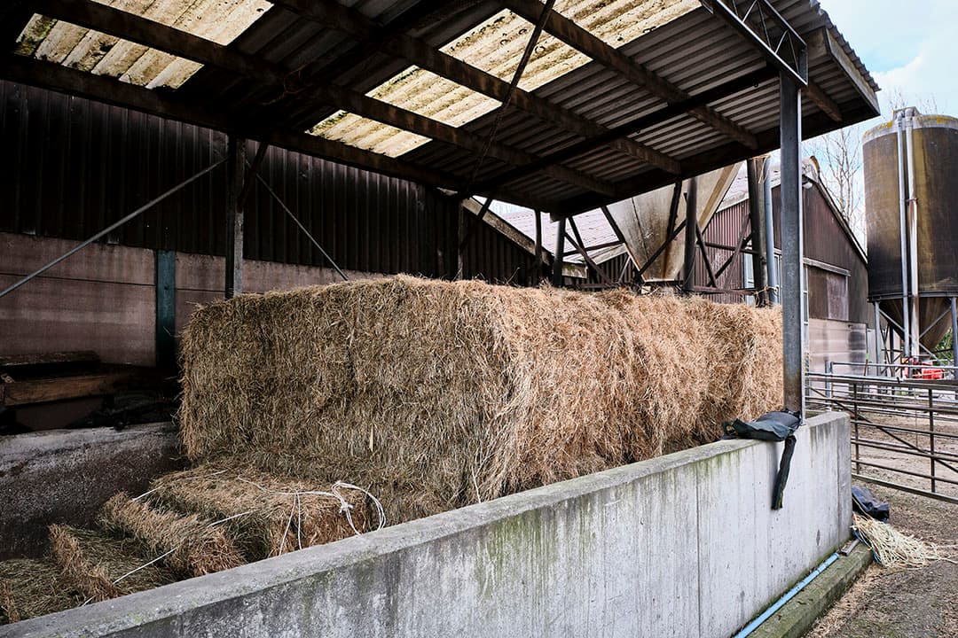 De opslag voor hooi. Nu staat er aangekocht weidehooi. Marijke en Max willen dit jaar voor de droge koeien zelf meer hooi maken.