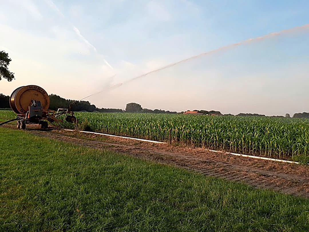In 2019 kocht Kasper Huisman een haspel, speciaal voor beregening van mais. Dat levert meer mais van betere kwaliteit op. - Foto: Kasper Huisman