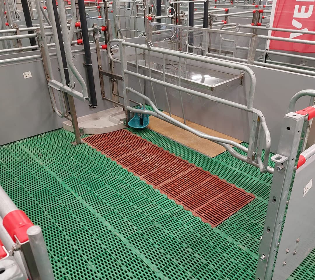 De kraamopfokhokken hebben een familietrog met sensorvoeding en elektrisch verwamrde biggennesten. Voor goede grip voor de zeug heeft het rooster hooglaag-motief.