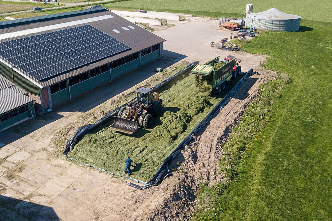 Op 19 april werd de eerste snede al ingekuild. Van Beek wilde vanwege de onzekere weersvooruitzichten niet langer wachten. Vanaf deze datum wordt er elke vier weken gemaaid. - Foto's: Peter Roek