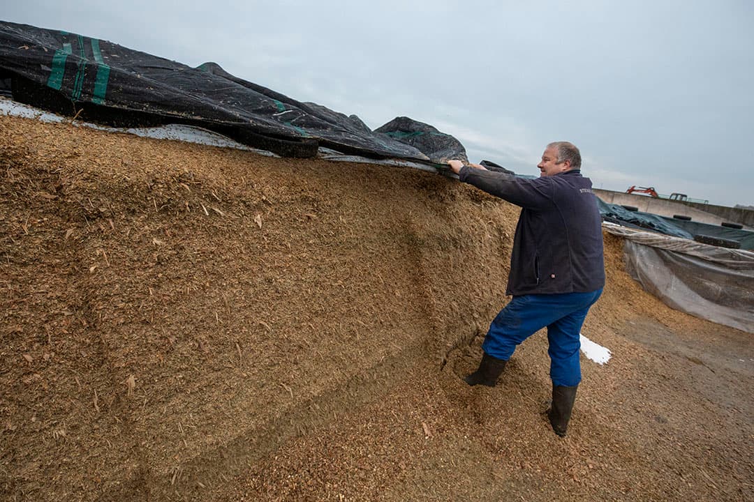 De loonwerker laat een mooie strakke kuilwand achter met weinig voerverlies.