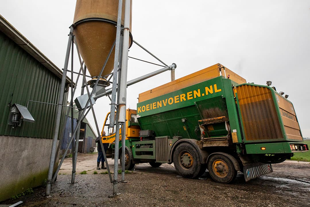 Voor eiwitaanvulling komt er ook raap in het basisrantsoen. Lenes wil met de stokslabonen besparen op raapaankoop.