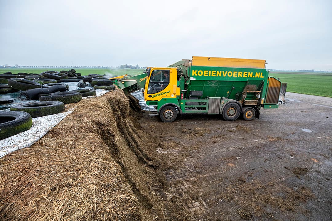 Op het bedrijf van Benny Lenes voert de loonwerker de koeien. Op de foto de kuil met onderin de mengteelt van mais en stokslabonen en bovenop reguliere mais.