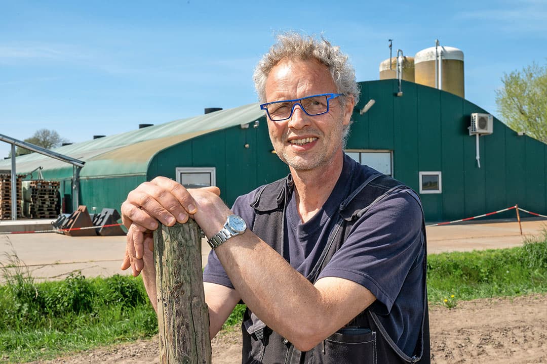 bio-hennen